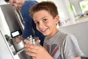 Understanding the Difference Between Point of Use and Whole House Water Filters in Marblehead, MA