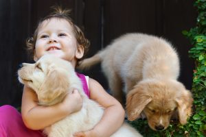 Is Your Home Baby &amp; Puppy Proofed for Your Holiday Party in Lynn, MA?