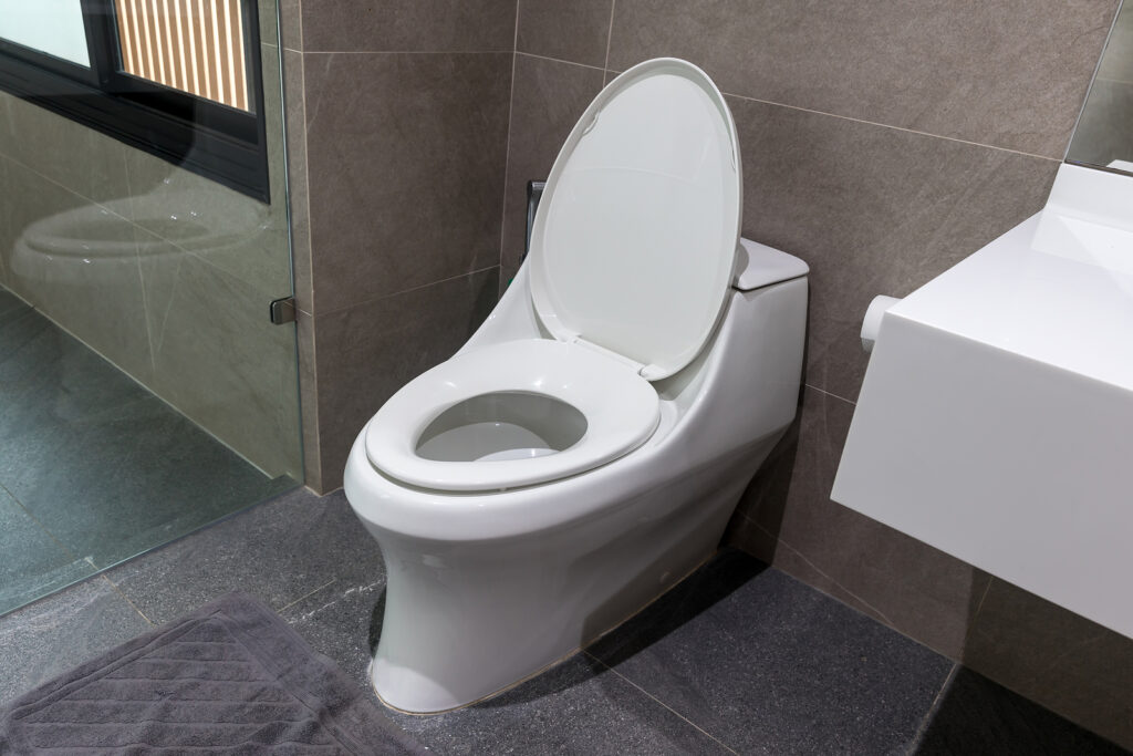 Measuring discount toilet seat