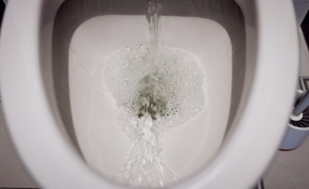 Does a Low-Flow Toilet Actually Clog More Often? What North Shore Homeowners Ask